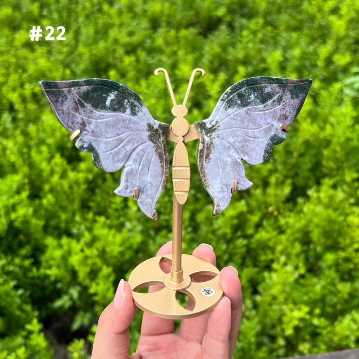 Ocean Jasper Butterfly