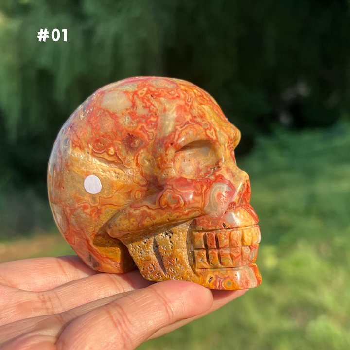 Unique,Crazy Lace Agate Skull