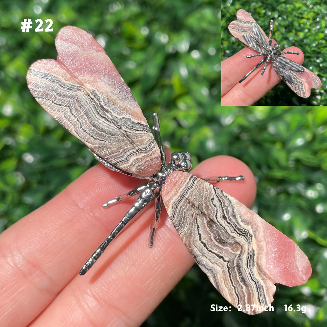 Unique,Rhodochrosite Dragonfly