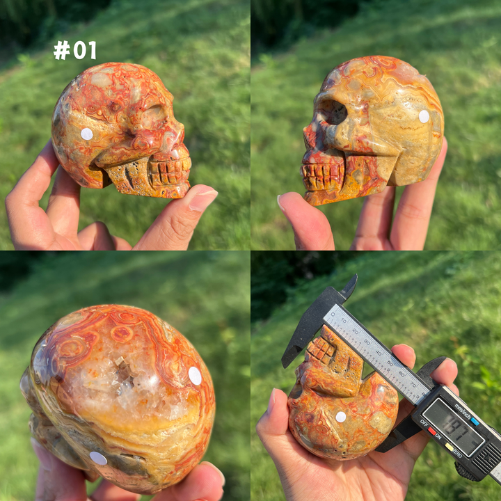 Unique,Crazy Lace Agate Skull