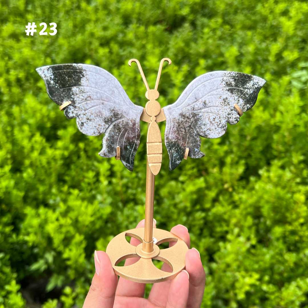 Ocean Jasper Butterfly