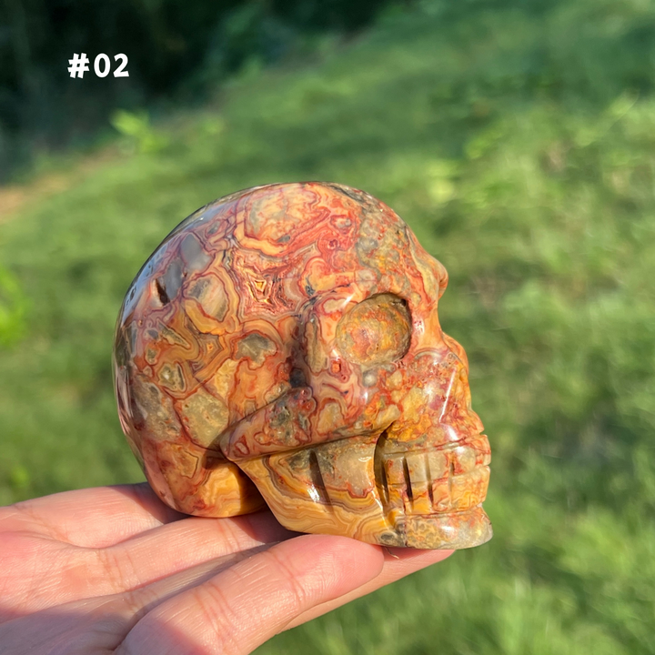 Unique,Crazy Lace Agate Skull