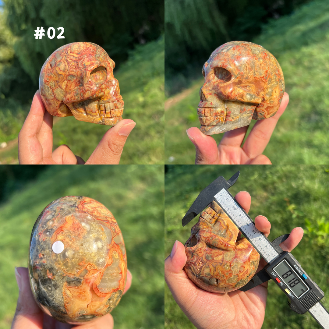 Unique,Crazy Lace Agate Skull