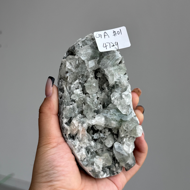 Unique, Sugar Druzy Apophyllite Cluster with Stilbite and Chlorite