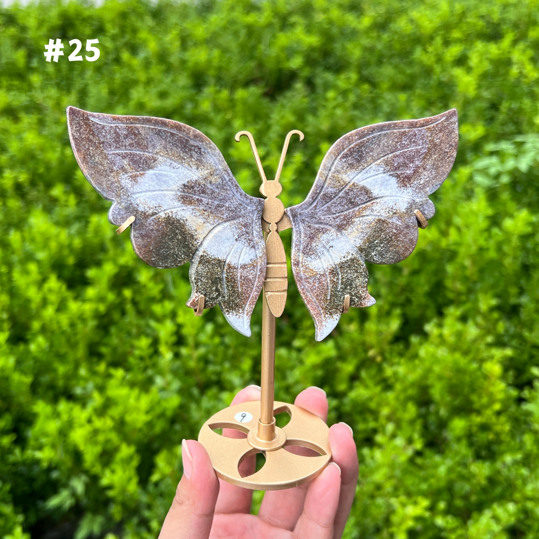 Ocean Jasper Butterfly