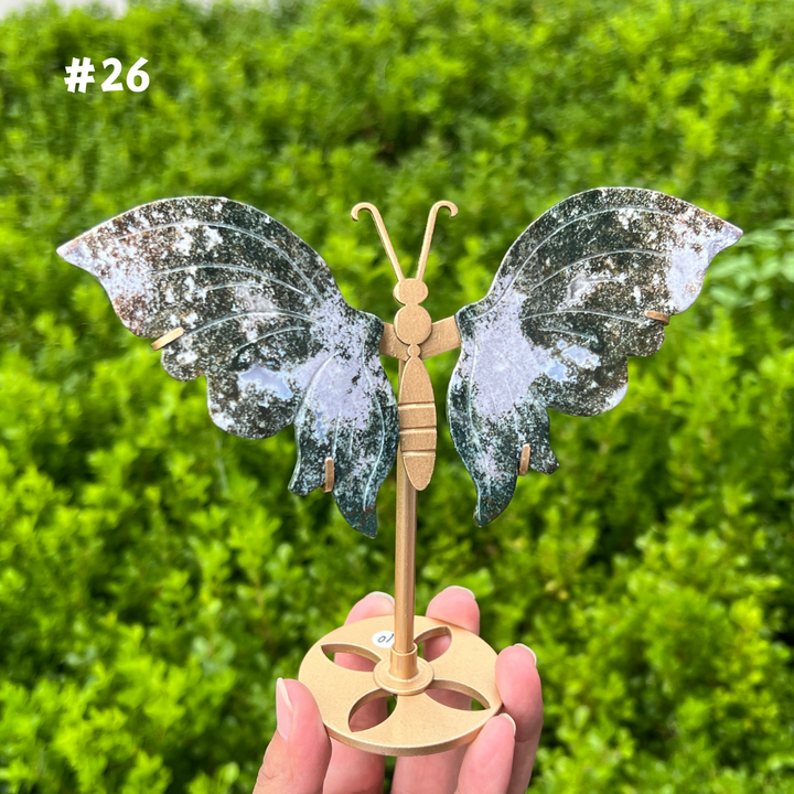 Ocean Jasper Butterfly