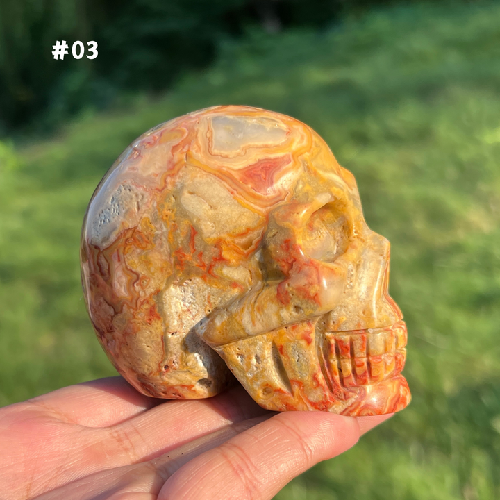 Unique,Crazy Lace Agate Skull