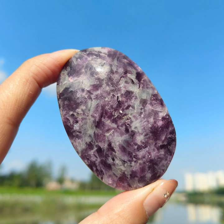 Unicorn Stone Palm Stone