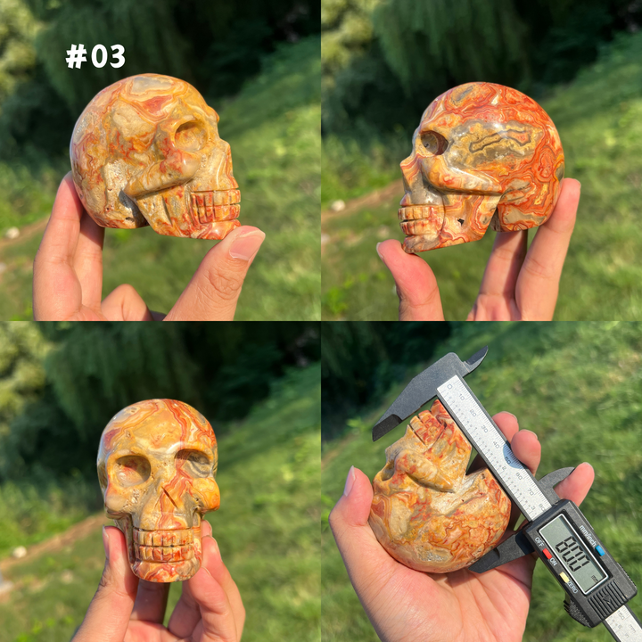 Unique,Crazy Lace Agate Skull