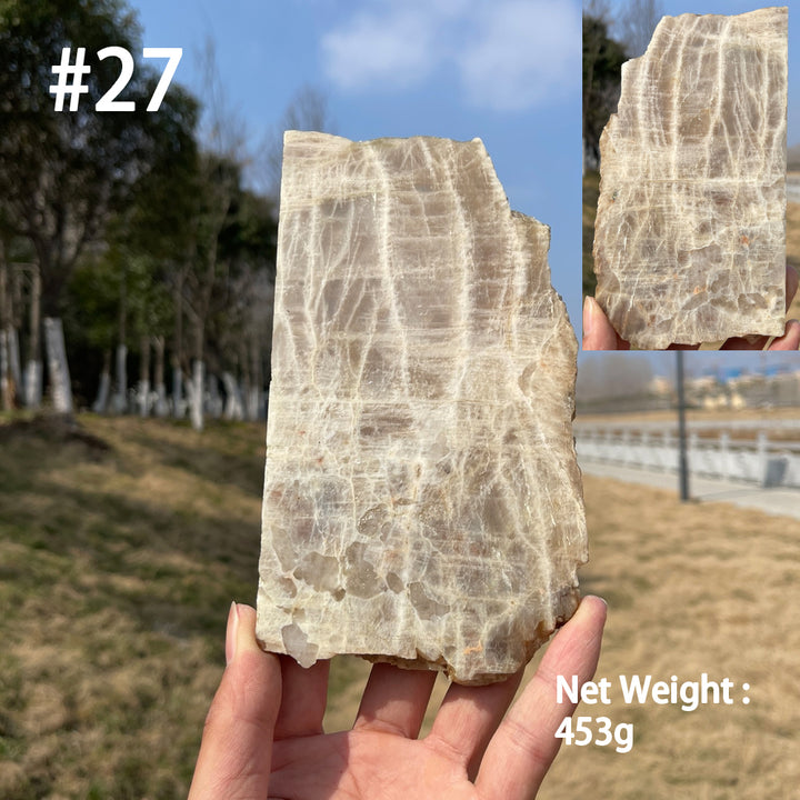 Unique,Natural Crystal Moonstone Slices