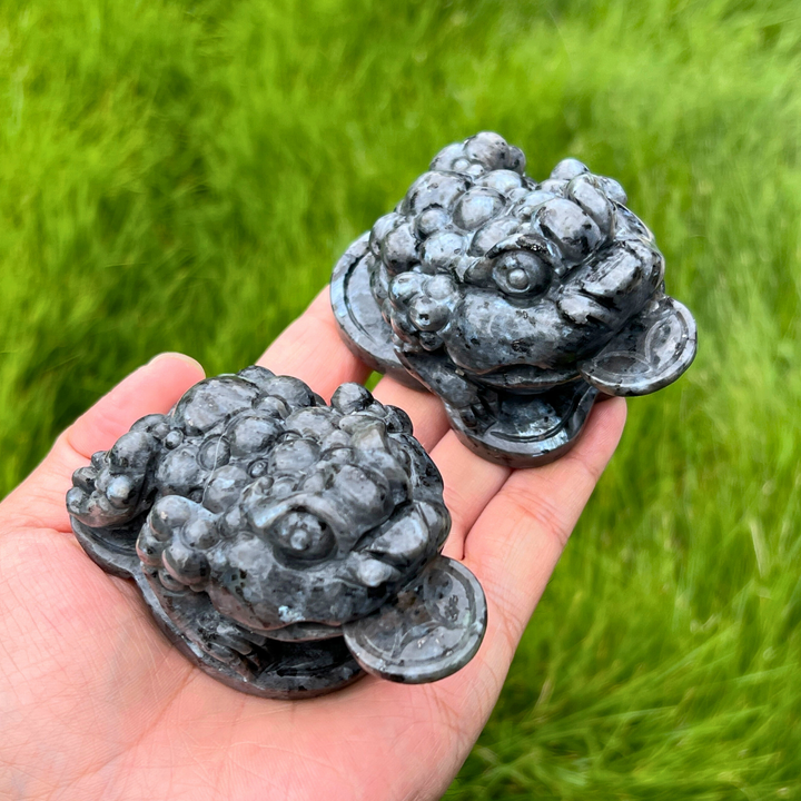 Natural Larvikite Money Toad