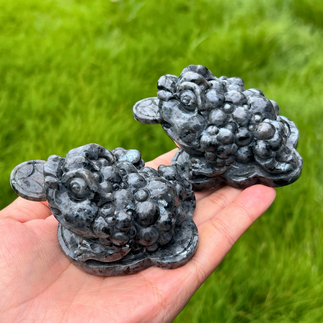 Natural Larvikite Money Toad