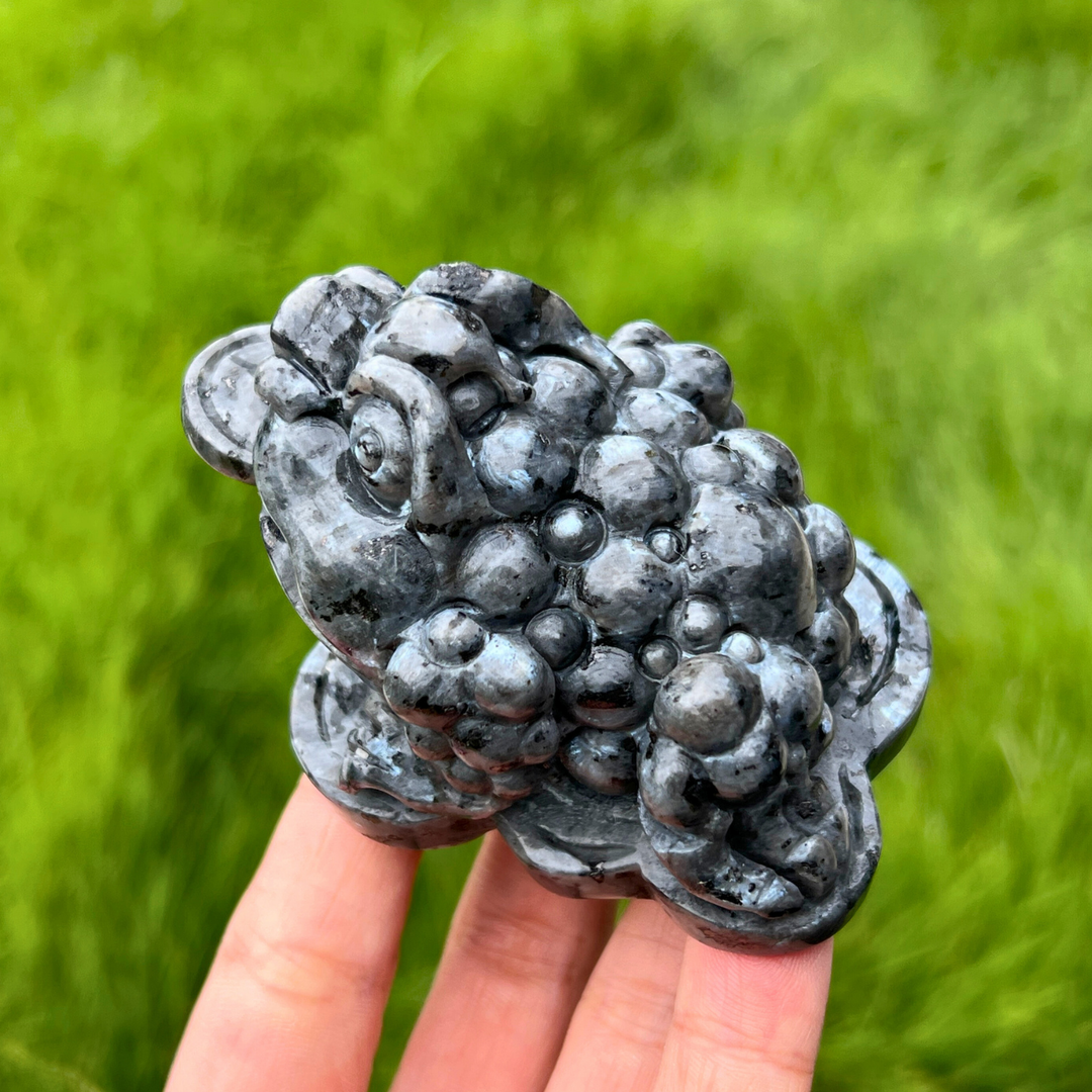 Natural Larvikite Money Toad