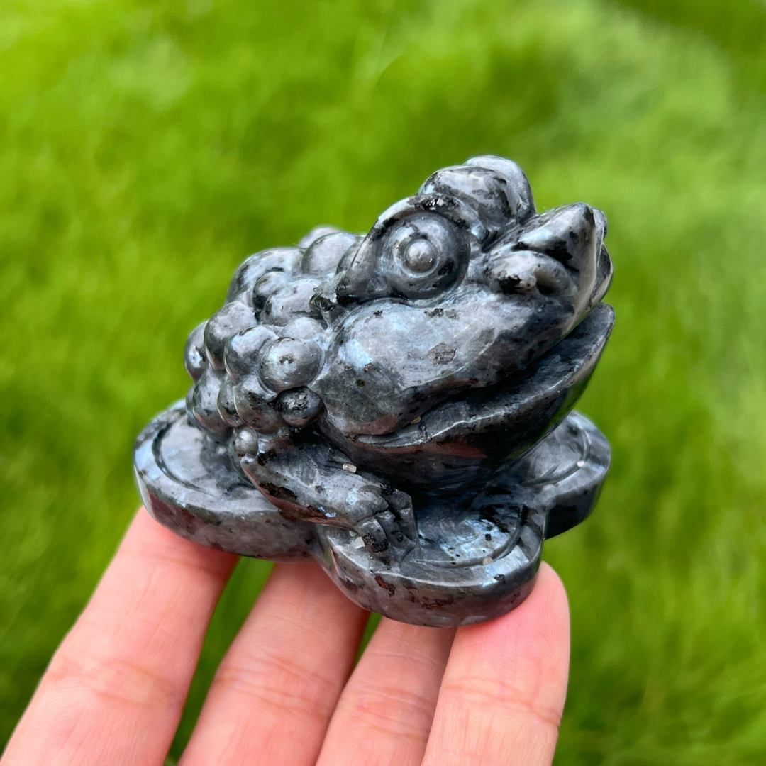 Natural Larvikite Money Toad