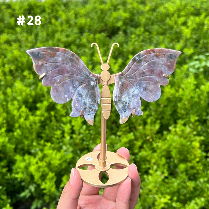 Ocean Jasper Butterfly