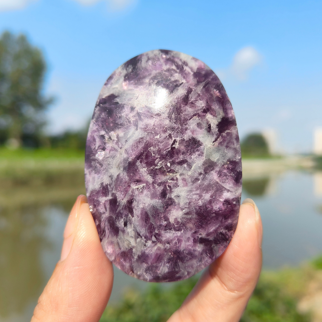 Unicorn Stone Palm Stone