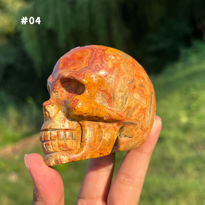 Unique,Crazy Lace Agate Skull