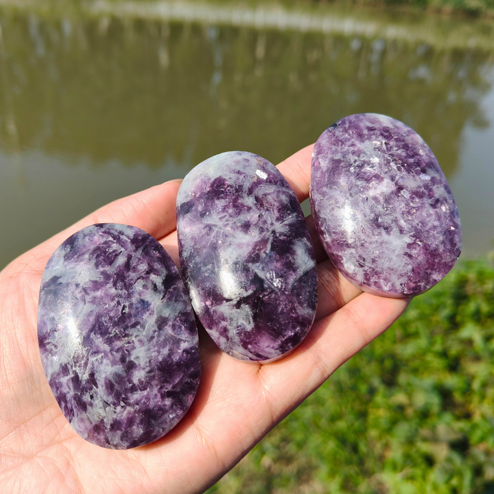 Unicorn Stone Palm Stone