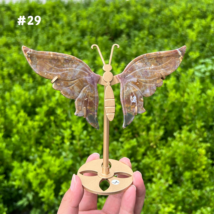 Ocean Jasper Butterfly