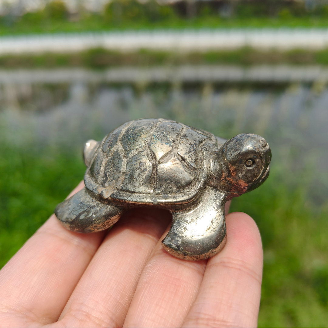 Pyrite Sea Turtles