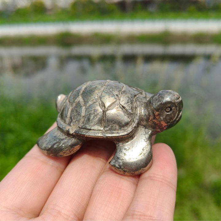 Pyrite Sea Turtles