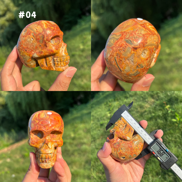 Unique,Crazy Lace Agate Skull