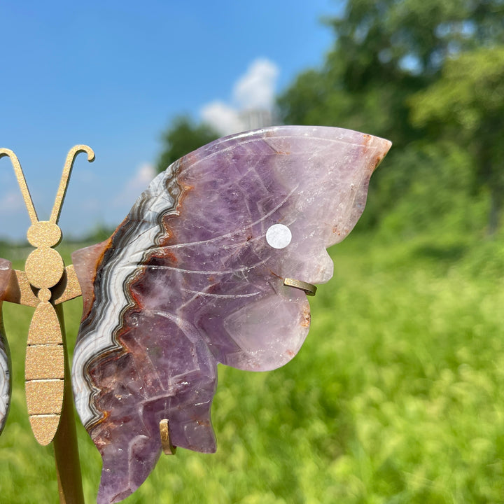 Unique,A Slightly Imperfect Natural Amethyst Agate Butterfly Wing With Stand