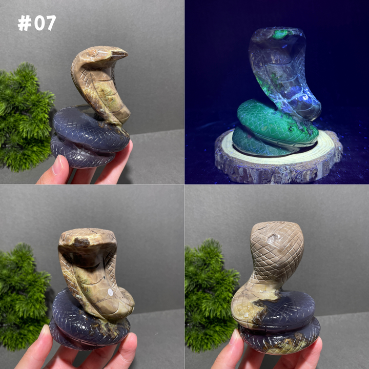 Unique,Volcanic Agate Snake