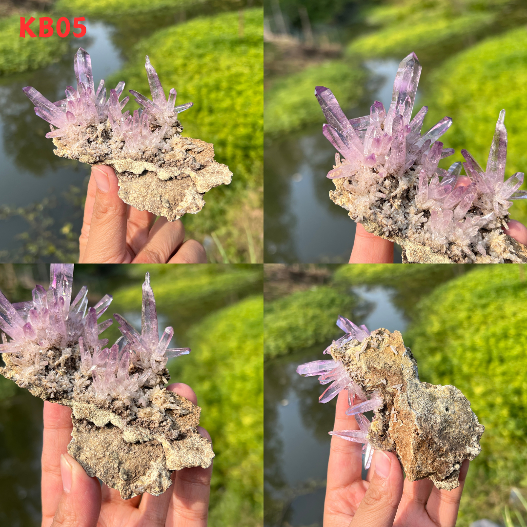 Vera Cruz Amethyst Cluster