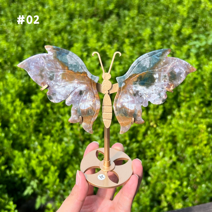 Ocean Jasper Butterfly