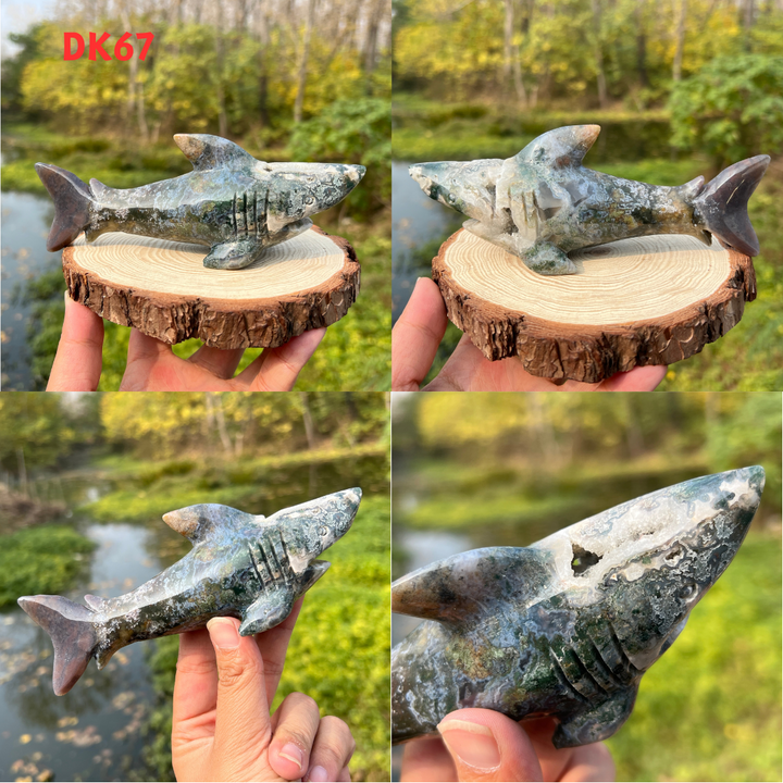 Shark Carving