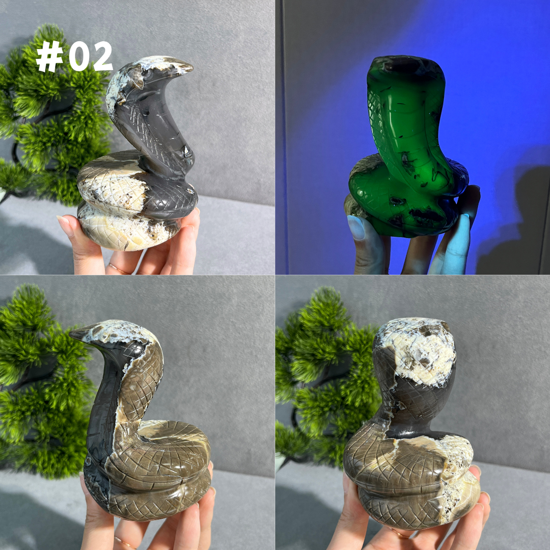 Unique,Volcanic Agate Snake