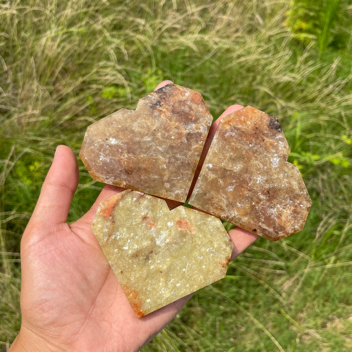 Natural Crystal Warm Phlogopite With Hematite Heart