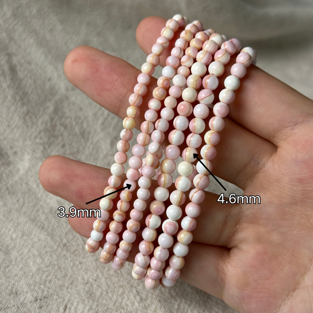 Queen Conch Shell Triple Wrap 3.9-4.6mm