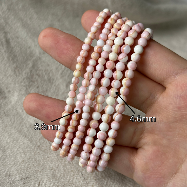 Queen Conch Shell Triple Wrap 3.9-4.6mm