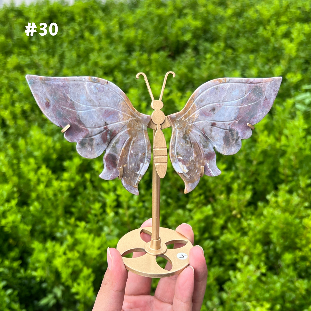 Ocean Jasper Butterfly