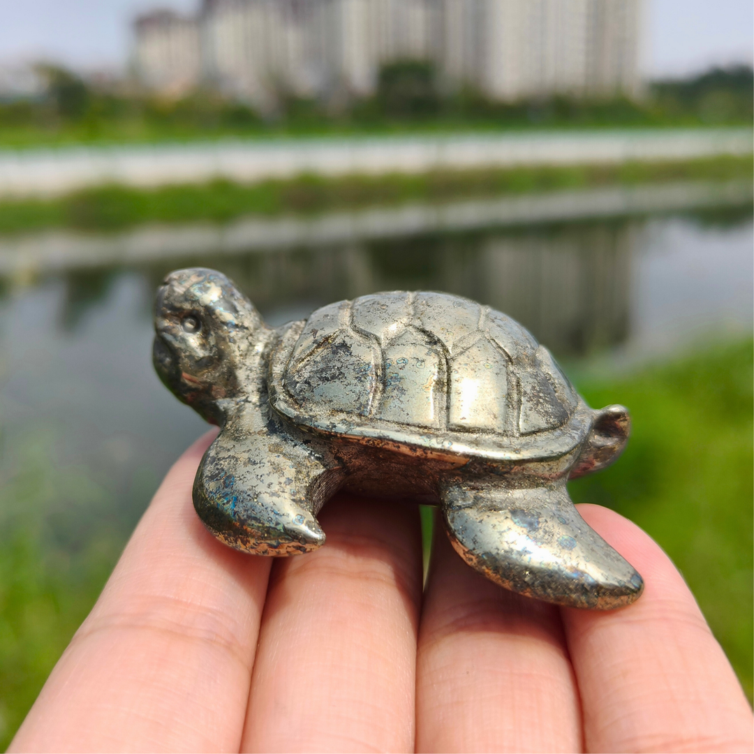 Pyrite Sea Turtles
