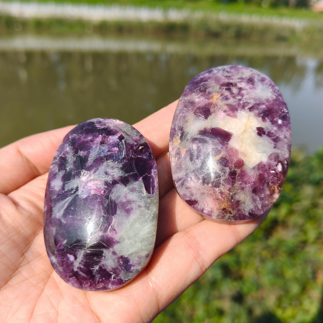 Unicorn Stone Palm Stone