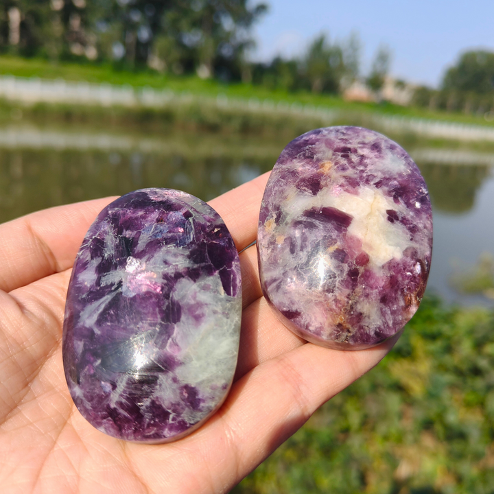 Unicorn Stone Palm Stone