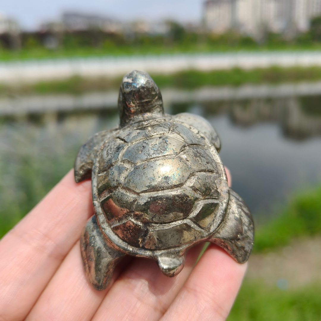 Pyrite Sea Turtles