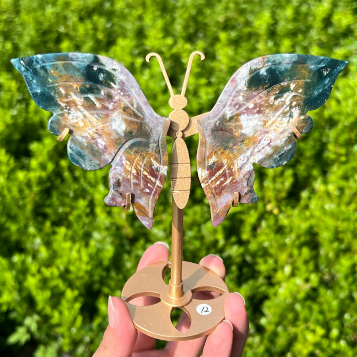 Ocean Jasper Butterfly