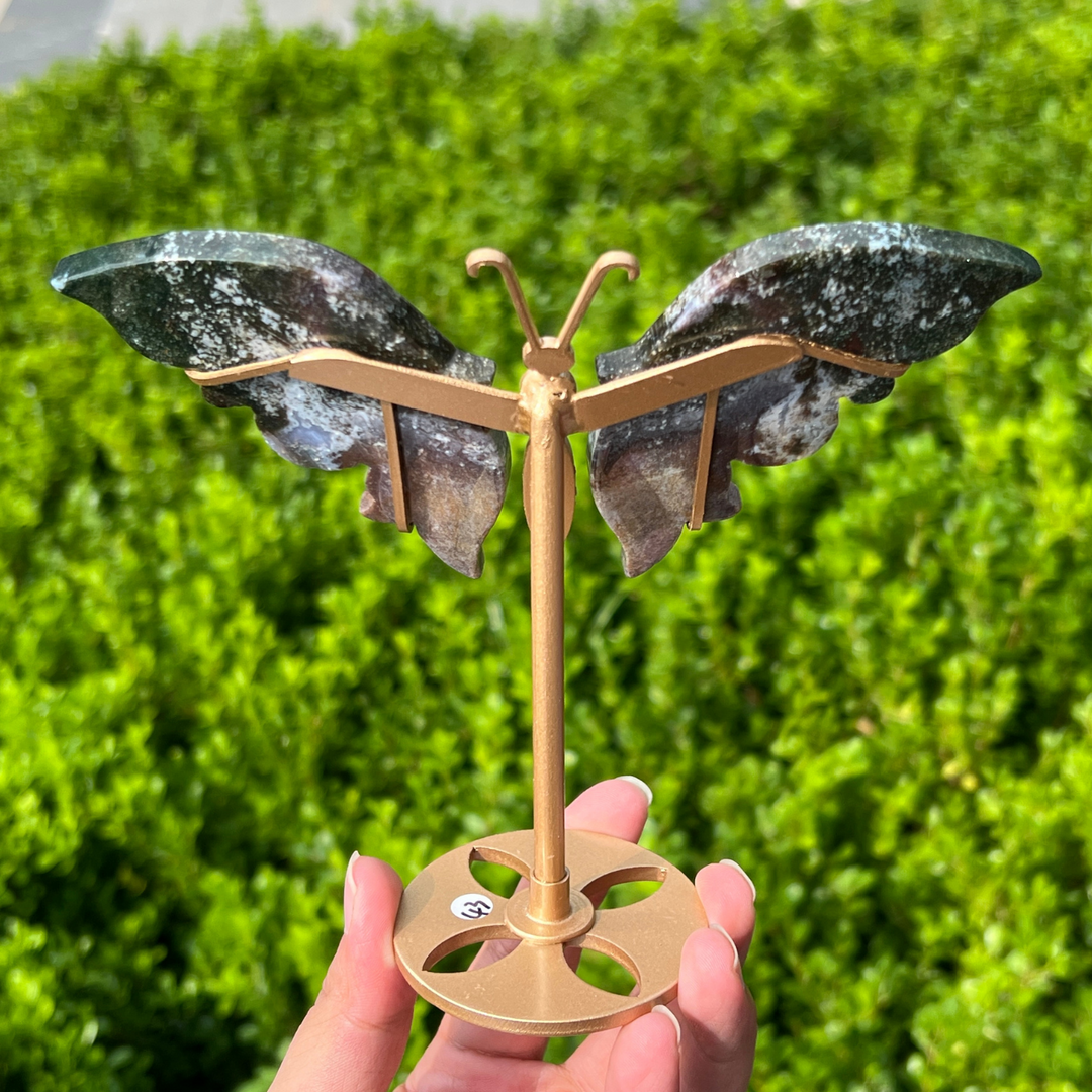 Ocean Jasper Butterfly
