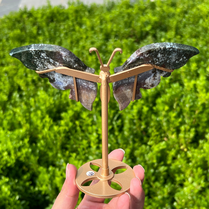 Ocean Jasper Butterfly