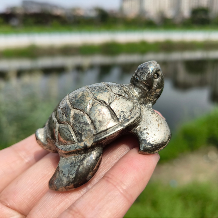 Pyrite Sea Turtles