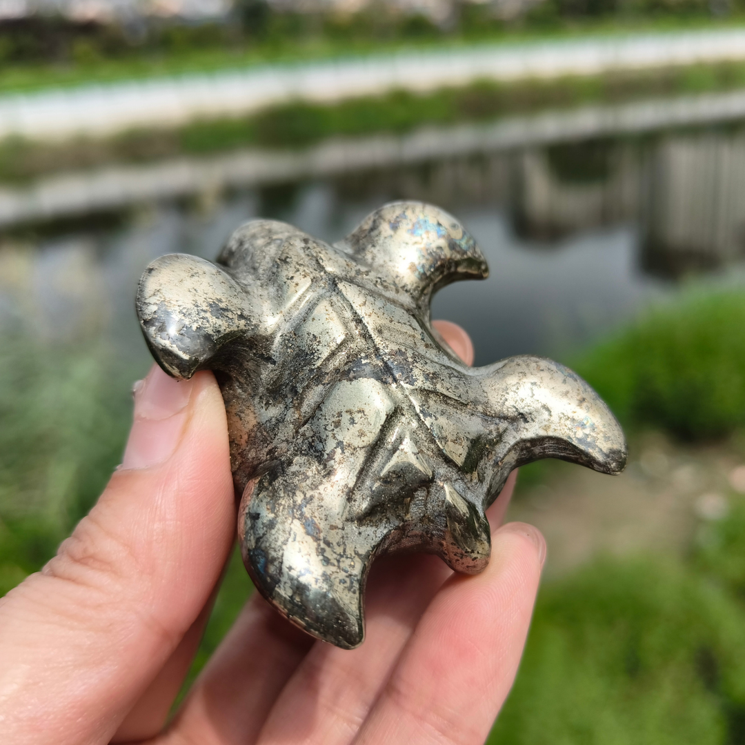 Pyrite Sea Turtles
