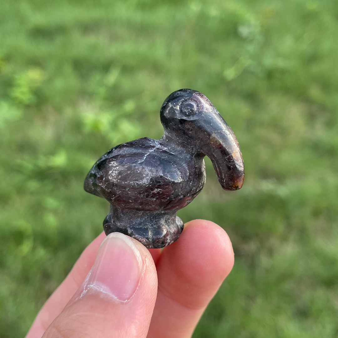 Toco Toucan Carving