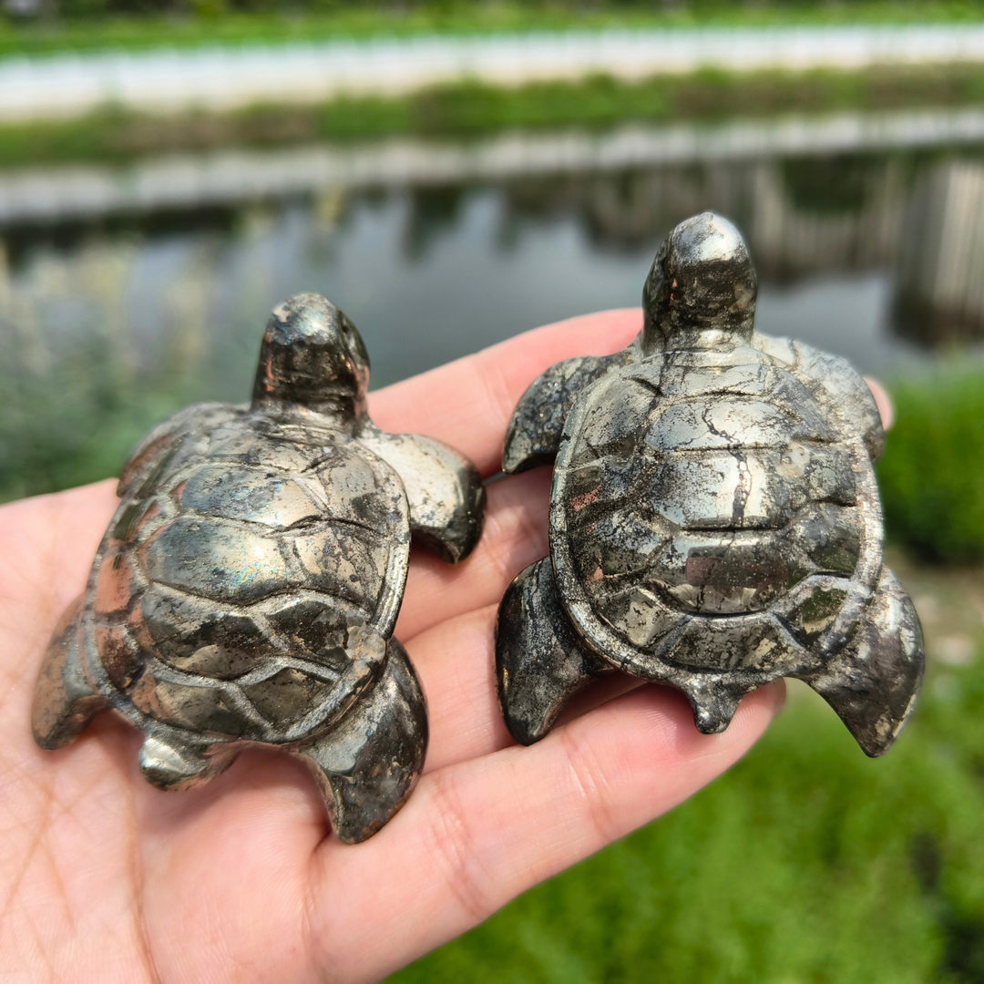 Pyrite Sea Turtles