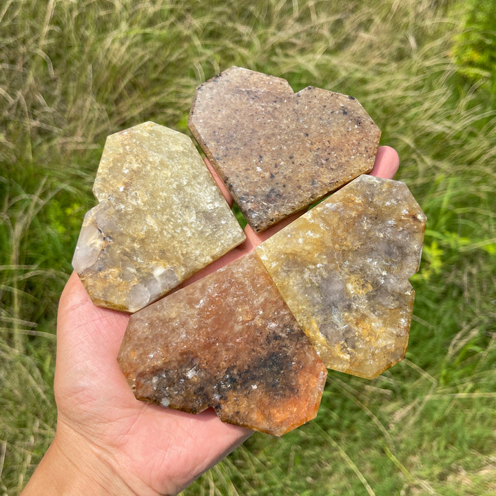 Natural Crystal Warm Phlogopite With Hematite Heart
