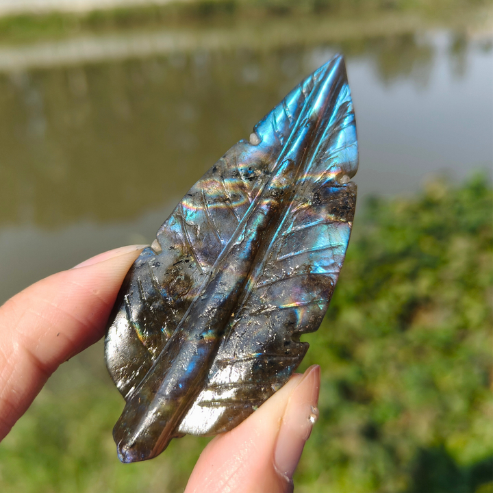 Labradorite Tree Leaf