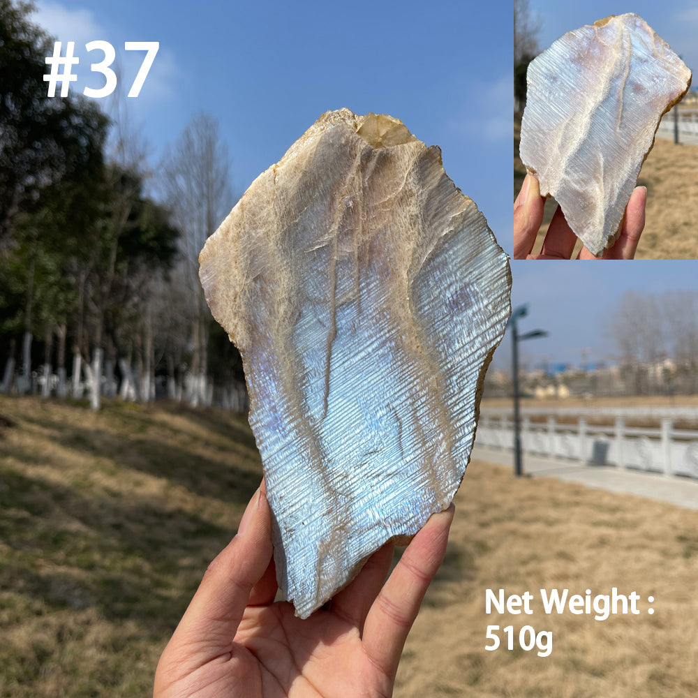 Unique,Natural Crystal Moonstone Slices